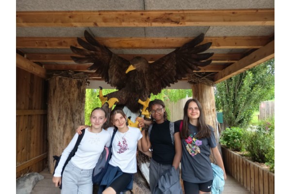 Une journée aux aigles du Léman